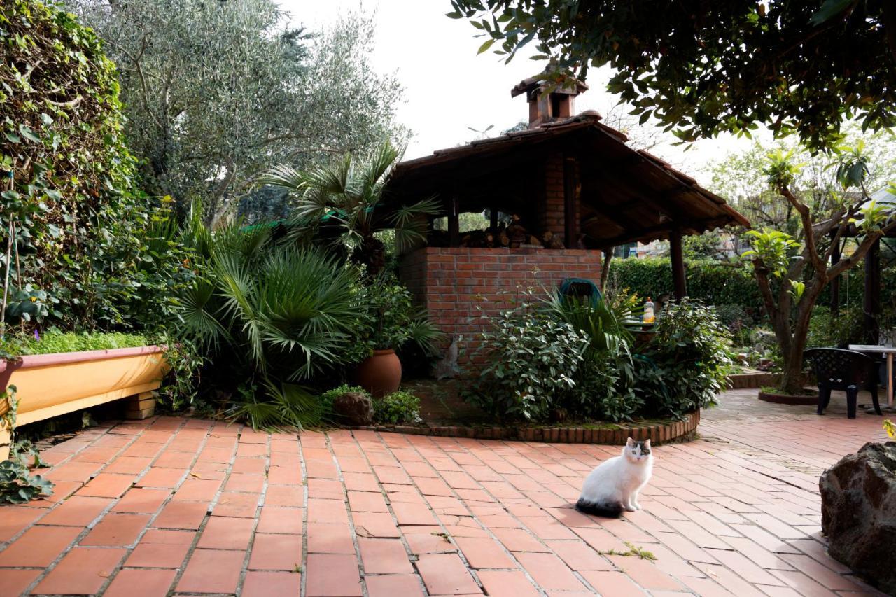 L'Acchiappasogni Bed And Breakfast Colle di Fuori ภายนอก รูปภาพ